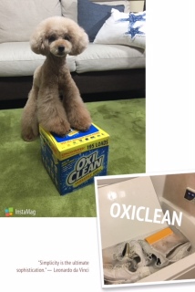 OXICLEAN