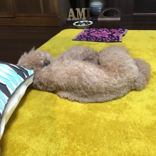 �т��[��B