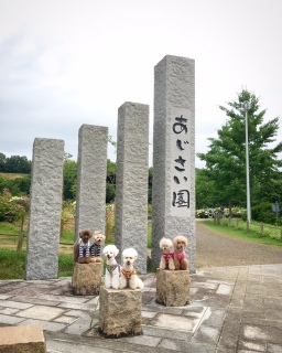 �M���炠���������ցB