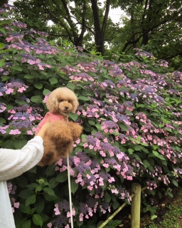 ryo.����ɎB���Ă�������̂�B