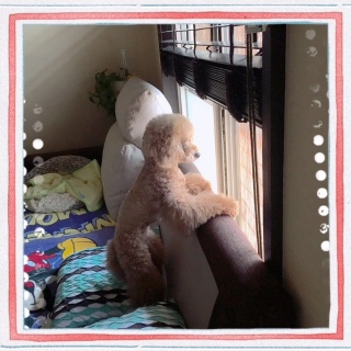 ���O���ߒ��B