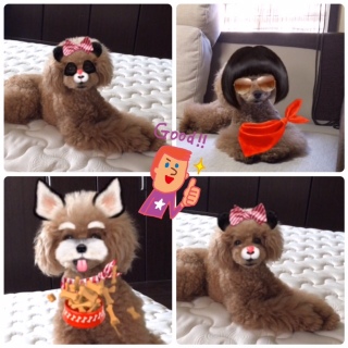 �����������������B�B