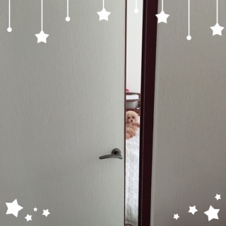 �J�~��ŗǂ�������