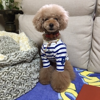 ���悩��X�^���o���Ă܂�^^;