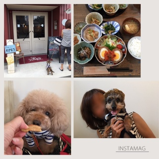 ���􂤂��̐H����lunch