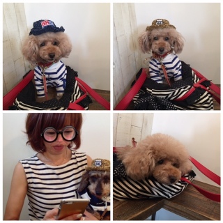 �X�q���ˁ�
