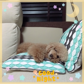 ���₷�݁`