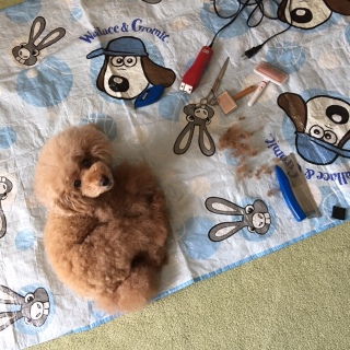 �o���J���I