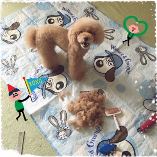 ��������B�I���I