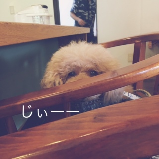 ����̃��A���B