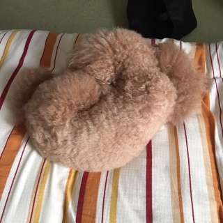 ���͂�[�B