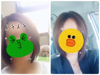 ���̖ыL�^�B