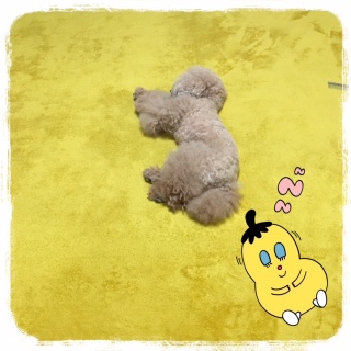 �v�X�ɗ����[�B