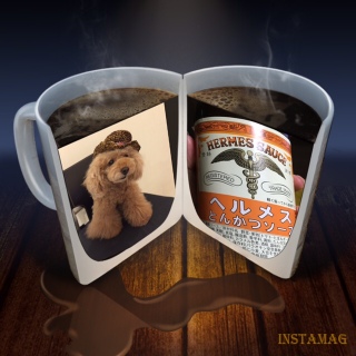 ��������o�^�o�^�B