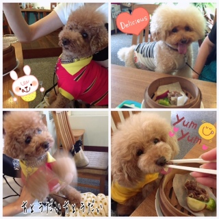 �V���E�}�C(�m�܁�)�m