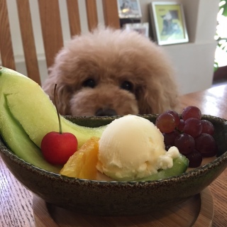 �S���O���A������B