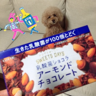 ��������炸�������`���R��
