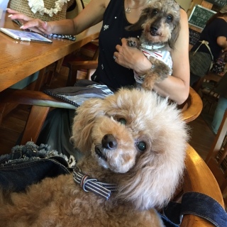 3�T�A��^^;