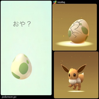 ���B�^�}�S���炩����