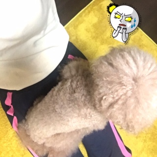 ���K�N�u�����イ�B