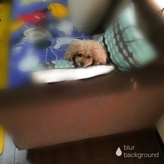 �c�Ɋ����B