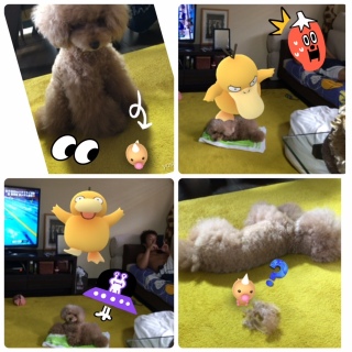 �ɂ��킽���B�B
