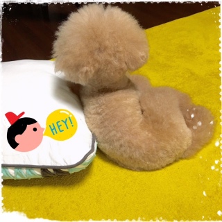 ���炾��B�B