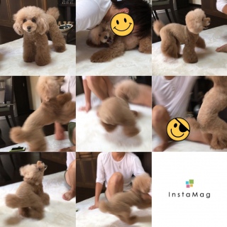 ���������\��