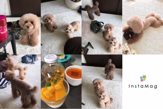 ��D��kazu����(*�K���K*)��AMI