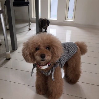 ���ז��`