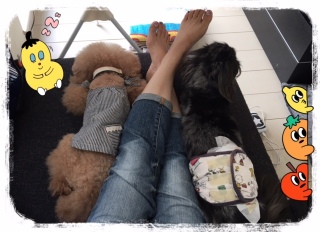 AMI�ƁA����[�B