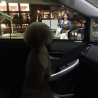 pm10�����Ŋ��w�܂ŁB