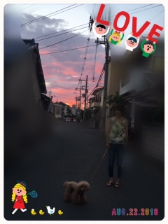 �Ȃ��Ɨ[�Ă��U����i�A�Ȓ��̎��j