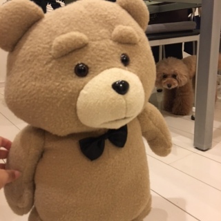 �e�b�h���|���炵��(��-��; )