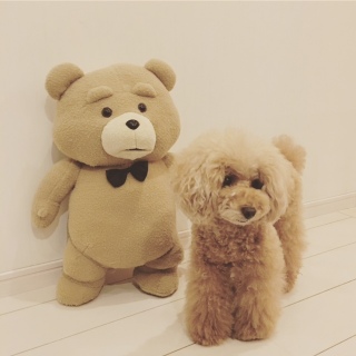 2�V���b�g����