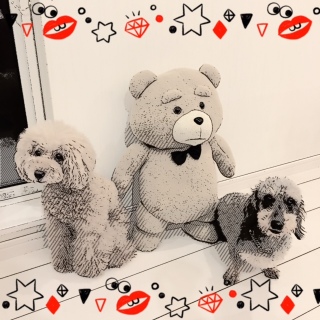 3�V���b�g���B