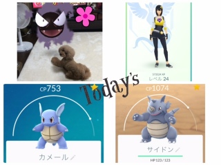 �����̃|�P�����B