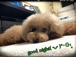 �Q�܂���B