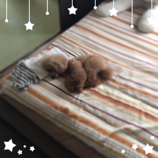 �X���X���`