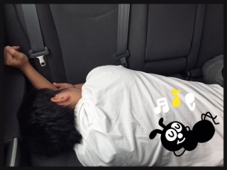 ��[���̑��}�I