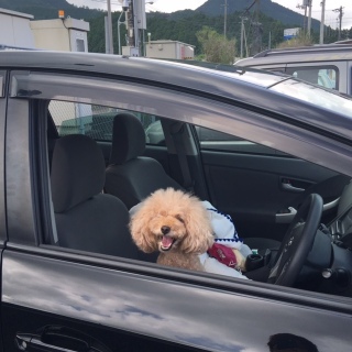 ���m���ŏI�~�肽�Ƃ���B