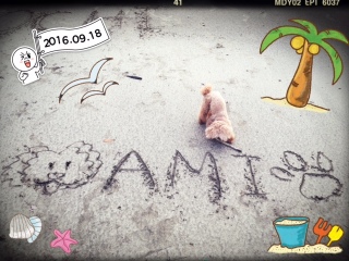 ��ꂪ�Ƃ�Ȃ��B�B