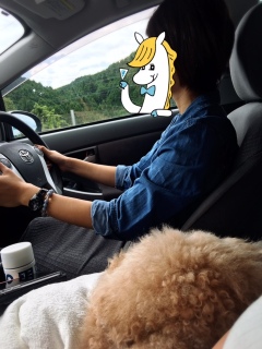 �򕌌��������B