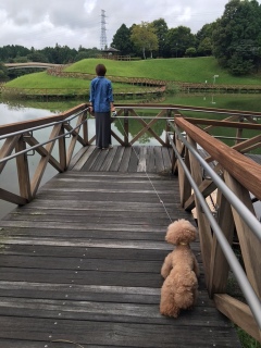 �T�R�ŋx�e�B