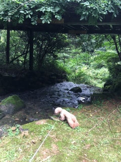 �O�c�����݂ƎU����