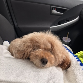 �����������B