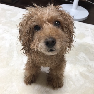 �A��コ���ς�B