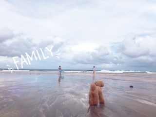 �Y��Ă����C�ɓ���pic