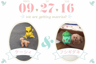 �����̃|�P����GO