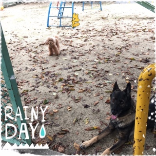 �����߂��B